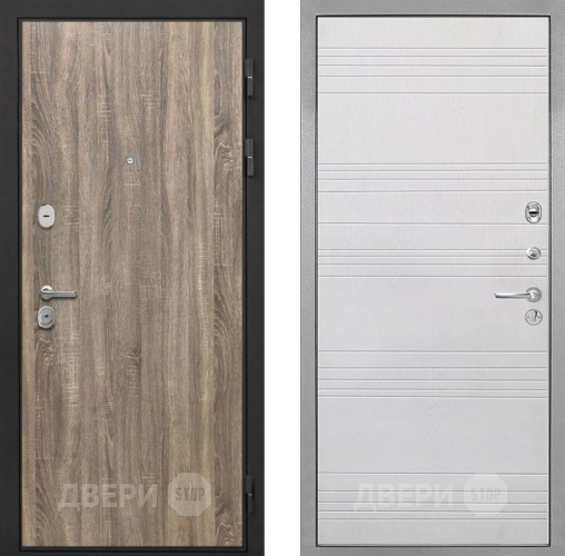 Входная металлическая Дверь Интекрон (INTECRON) Гектор Дуб Турин ФЛ-316 Белый ясень в Зарайске